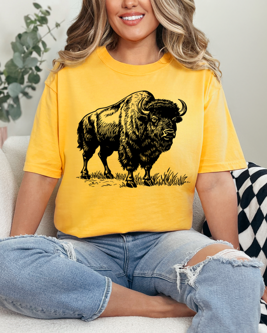 Wild Buffalo